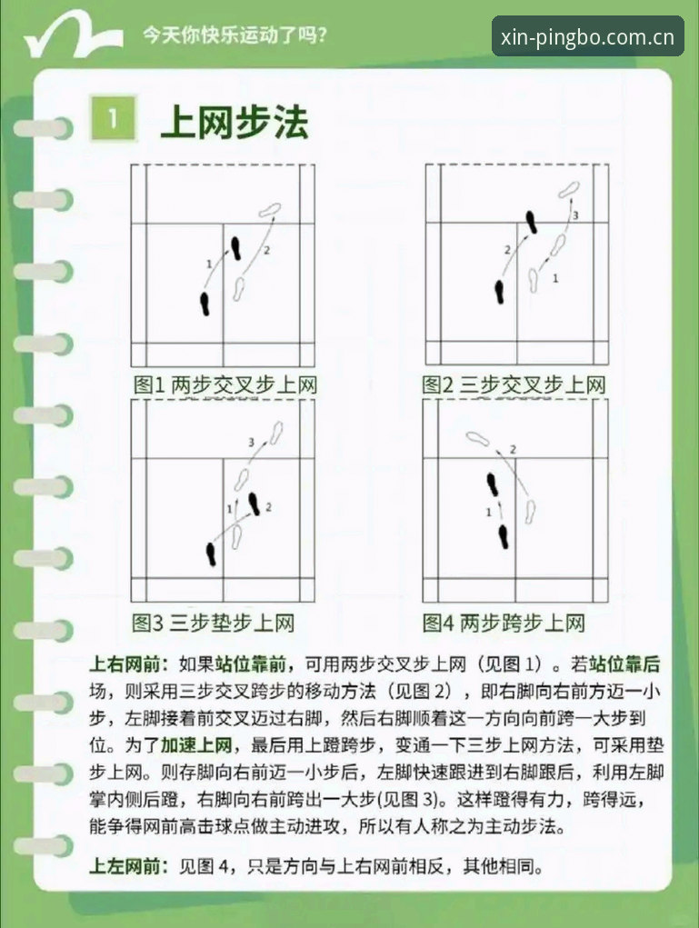平博体育平台篮球数据焕新登场官方主站操作教程：从兼容版入口到实时统计的完整路径